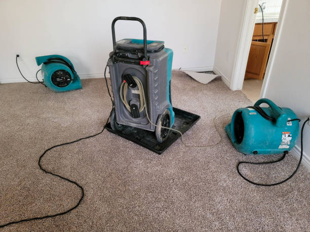 Trusted Itasca, TX Water damage restoration Experts
