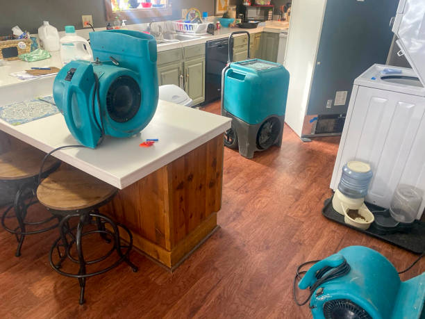 Best Sewage cleanup and water damage restoration  in Itasca, TX