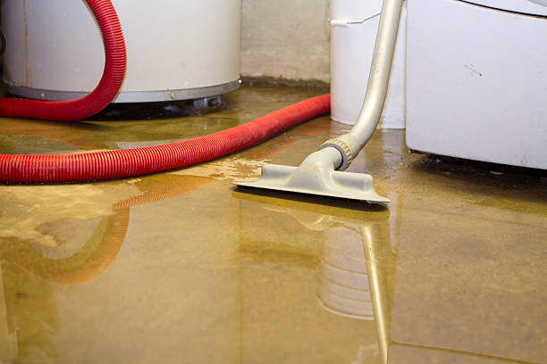 Best Water damage mitigation services  in Itasca, TX