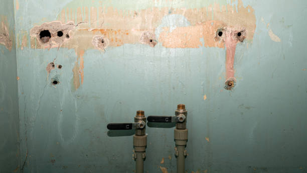 Best 24/7 water damage repair  in Itasca, TX