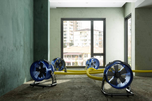 Best Water damage cleanup near me  in Itasca, TX